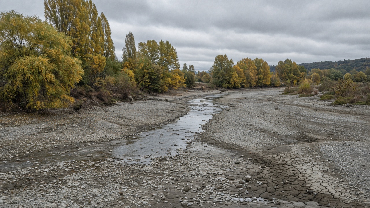 A Swiss river running low between exposed gravel banks under an overcast autumn sky