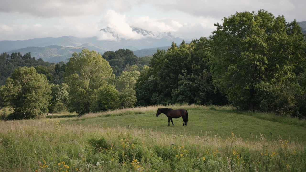 A horse in a Swiss summer pasture